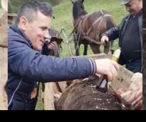 Primarul din Colți, încolțit! Anchetă în cazul împușcării unui urs