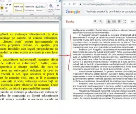 Scandal de plagiat la M.A.I. Un nume greu de la DGA și lucrarea de doctorat făcută copy/paste