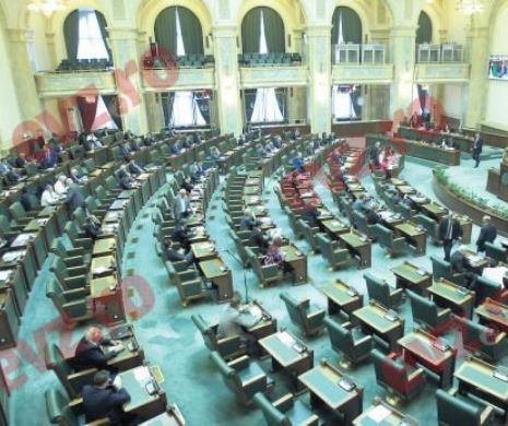 Ședință aprinsă la Senat. Senatorii și-au aruncat vorbe grele. Cine este mărul discordiei în conflictul momentului