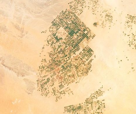Țări deșertice precum Arabia Saudită și UEA continuă achizițiile strategice în agricultură. România este și ea pe listă