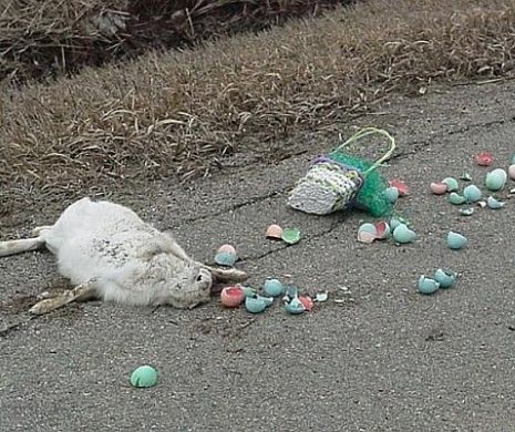 Tragedie de Paște. Un polițist a intrat cu mașina într-un grup de copii. 10 morți și peste 30 de răniți