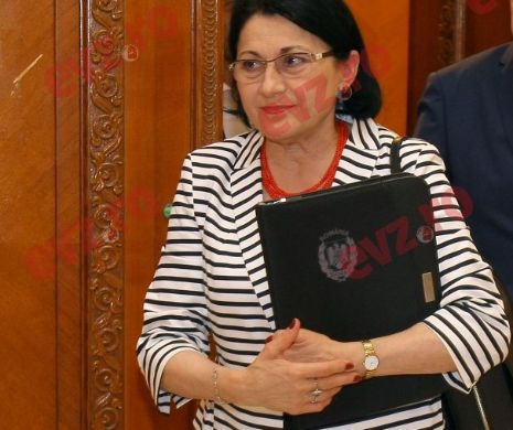 Andronescu sare în apărarea lui Dăncilă. Summitul de la Sibiu, mărul discordiei între Guvern și Iohannis