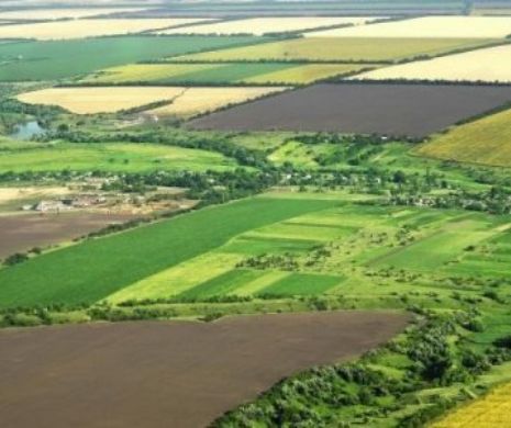 Investiţii de jumătate de miliard în agricultura românească.  Tehnologie de ultimă oră la cea mai mare fermă din Europa