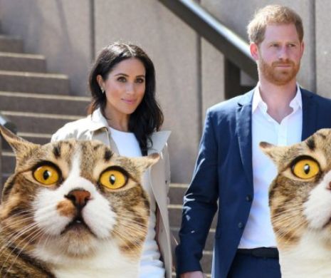 Royal Baby. Adevărul despre alegerea numelui. Ce rol are pisica lui  Meghan