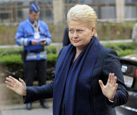 Vot pentru președinte în Lituania