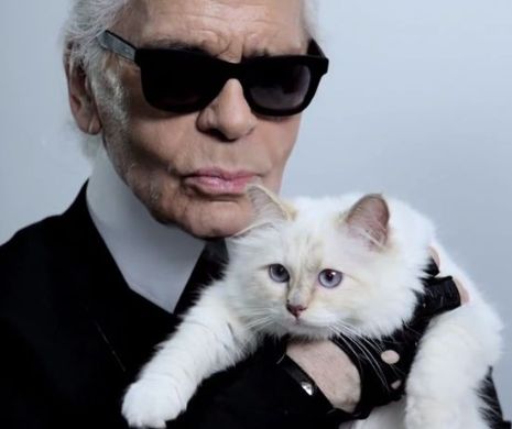 Celebru creator de modă, omagiat de vedete și case de modă, la Paris