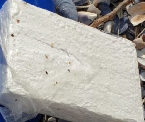 Cocaină descoperită în timpul furtunii. Laboratorul clandestin se afla într-un hangar
