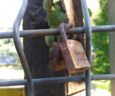 De vorbă cu străzile Bucureștiului. Logica ilogicii