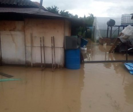 Drum inundat de ploaie, în Timiș