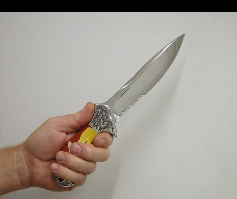 Era căutat în Franţa pentru furt cu violenţă. Infractorul a fost prins la Călimăneşti