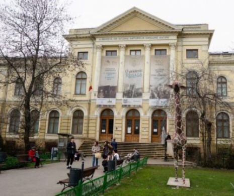 Se ascut cuțitele între Institutul „Elie Wiesel” și Muzeul Antipa. Ce se întâmplă cu Muzeul Holocaustului?