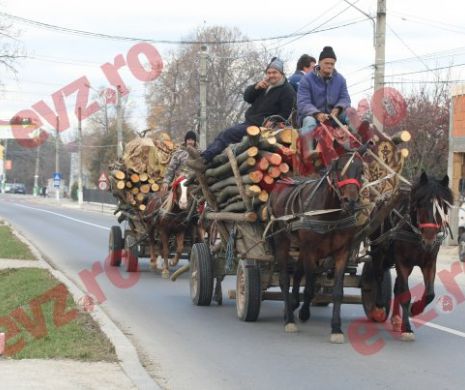 Incident dramatic în Bistrița-Năsăud. Ce a pățit un belgian după ce a speriat caii unor ciobani