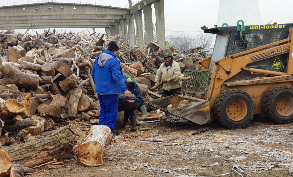 Sărăcia își pune amprenta asupra bătrânilor. Pensionarii fac împrumuturi vara ca să aibă lemne iarna