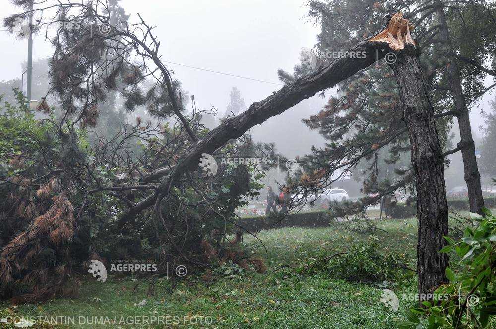 Zeci de copaci rupți ca niște chibrituri și acoperișuri smulse din cauza furtunii