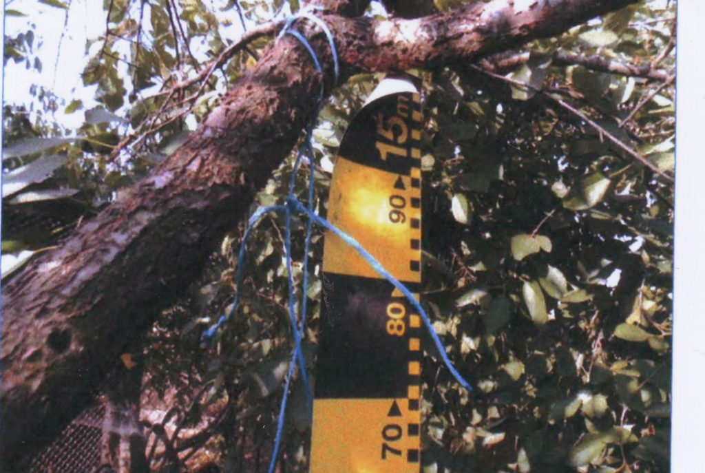 Sinucidere sau Crimă? Un caz înfiorător: Corina, spânzurata fără laţ