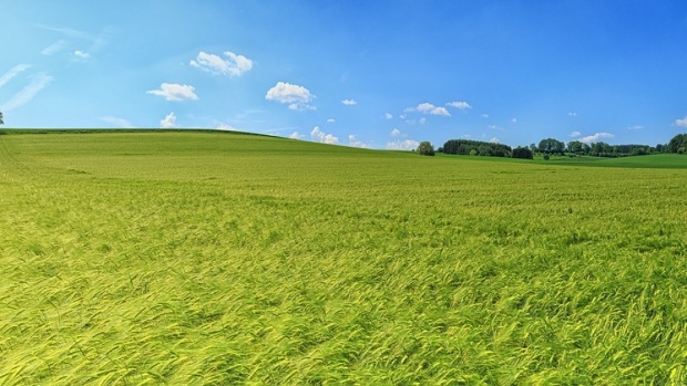 Investiție de milioane de euro în apropierea Timișoarei