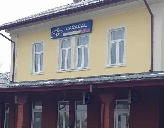 Panică în Caracal! Asta mai lipsea după cazul Alexandra, un pericol major. Alertă