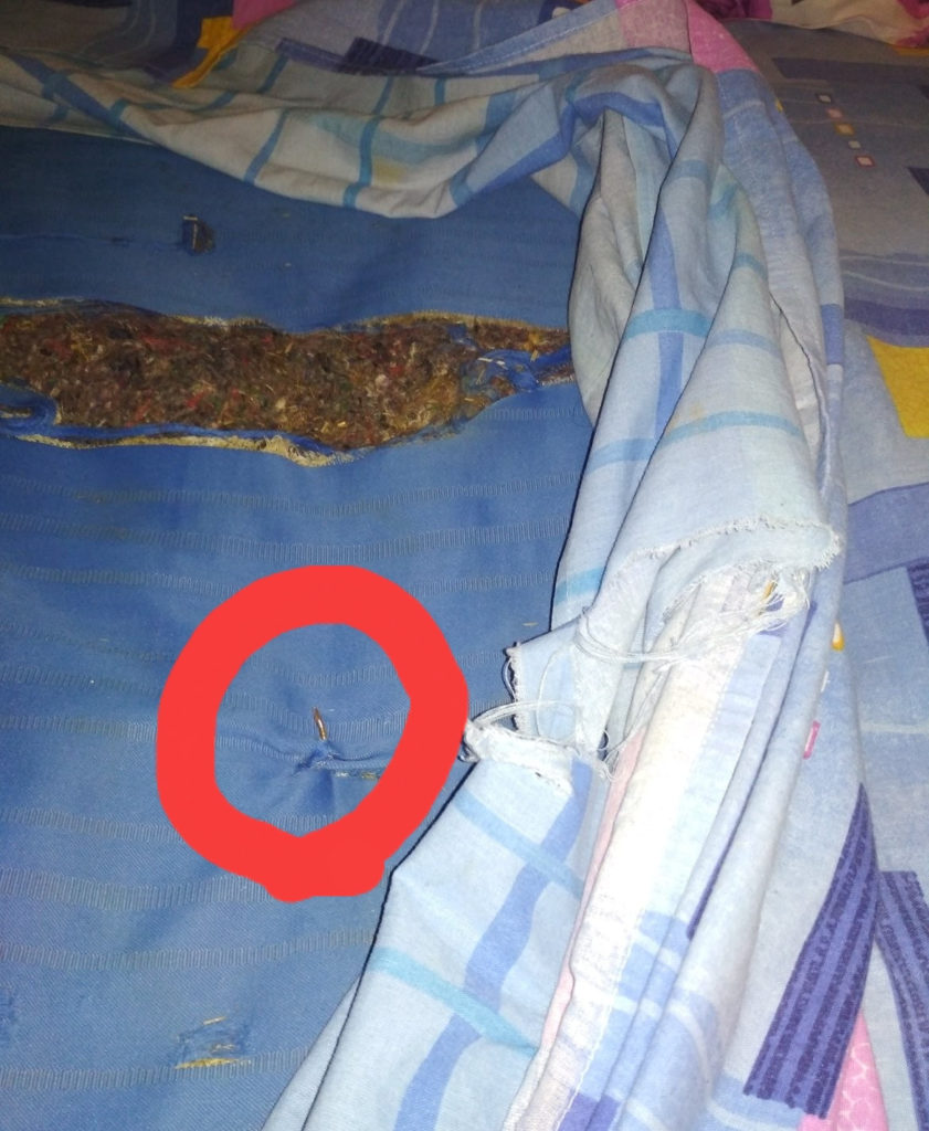 Imagini de coșmar de la un concurs național la istorie. „Pușcăriașii au condiții mai bune!”