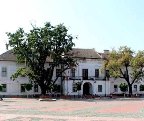 Protest național al angajaților din muzee