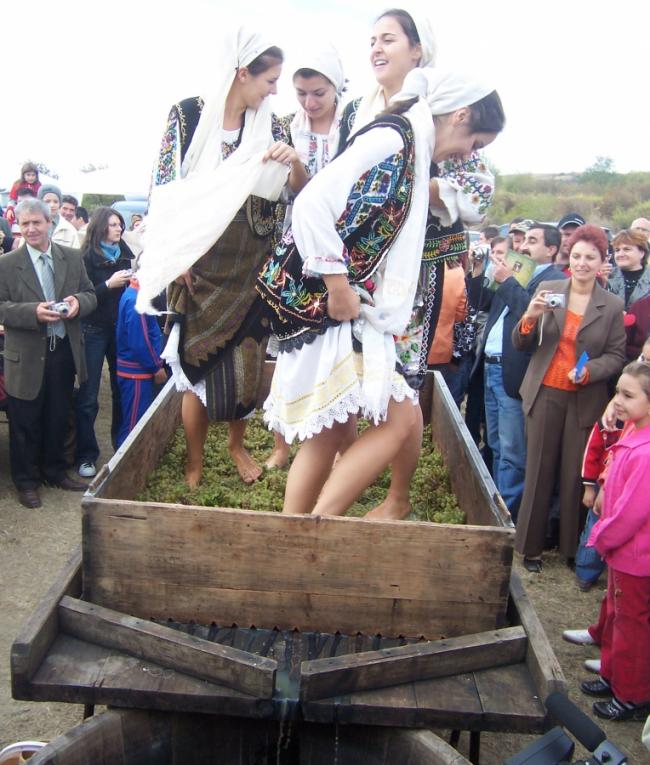 Vin cu certificat de la IML. Declarații scandaloase despre virgine și teascuri