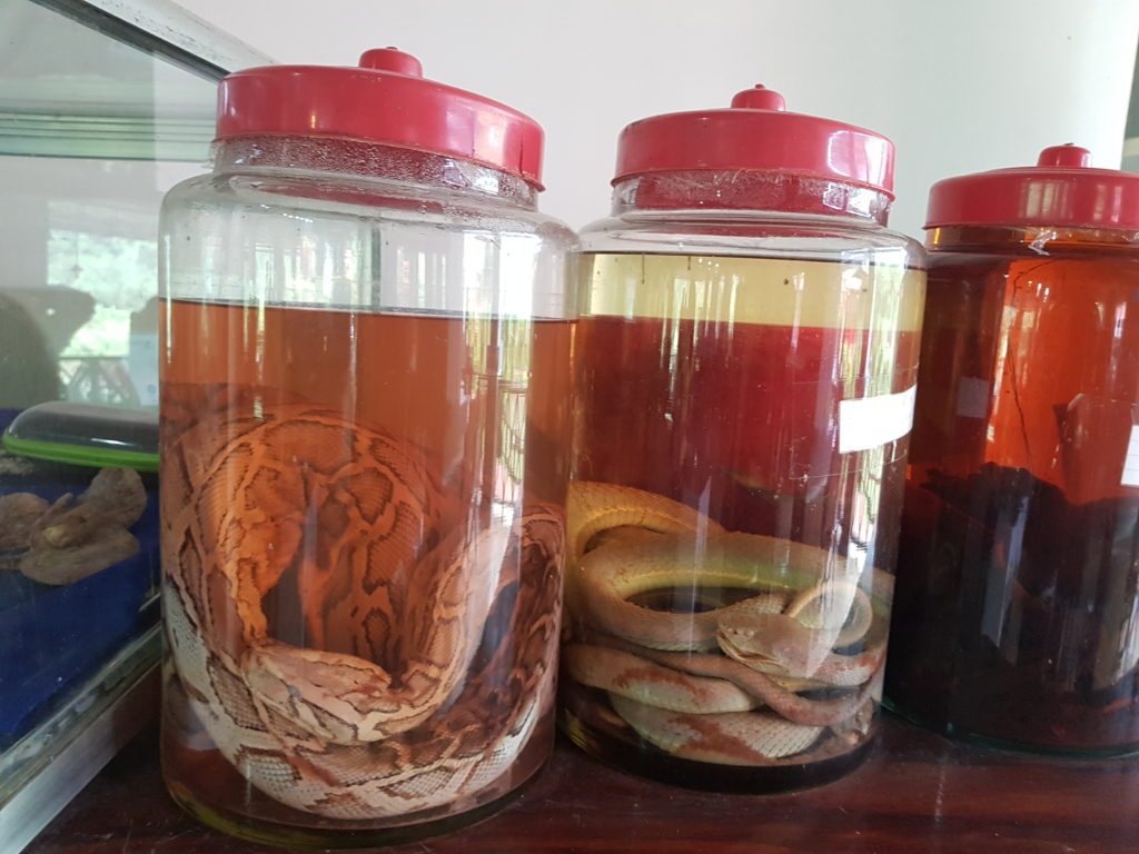 Indochina și șocantele ei ciudățenii