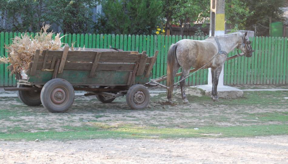 Situație halucinantă! Ce s-a întâmplat în mijlocul drumului, în România