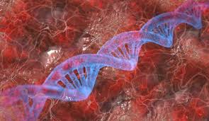 Savanții anunță rezolvarea unui nou mister