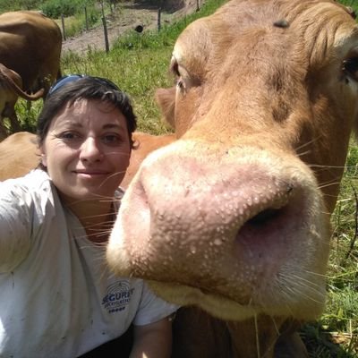 Twitter şochează din nou: Văcuţa Meringue a fost cenzurată