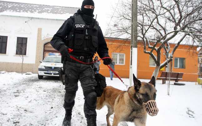 Minora Alexandra Pascu a fost găsită în Craiova. Este în viață. News Alert