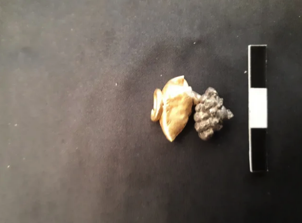 Relatările Bibliei, confirmate de o descoperire arheologică la Ierusalim