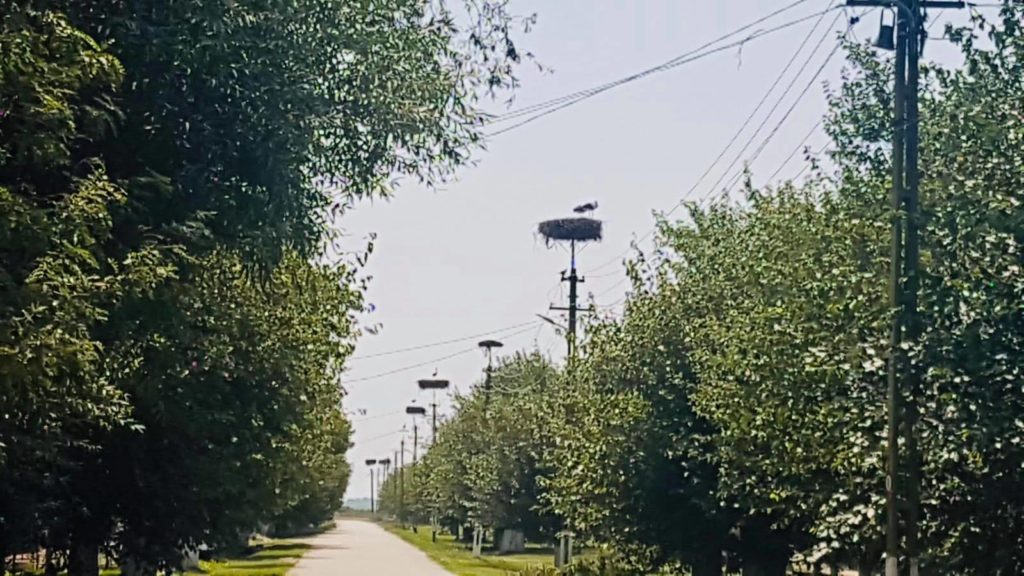 Unic în Europa! Satul din România cu o zi specială: lucrurile se petrec la fel de sute de ani