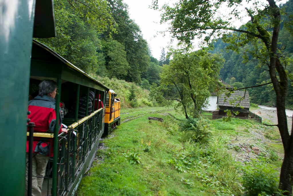 Momente de groază pentru turiștii din Maramureș. Mocănița a deraiat. Care este starea pasagerilor