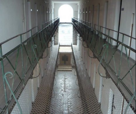 Arestat pentru că a împodobit o cioară! Aberațiile Justiției