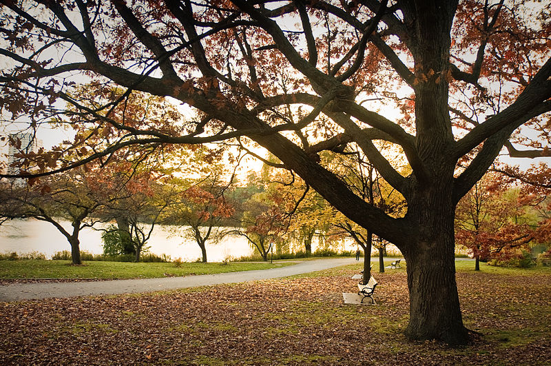 METEO. Toamna mai întârzie. Deocamdată ne luptăm cu seceta și canicula