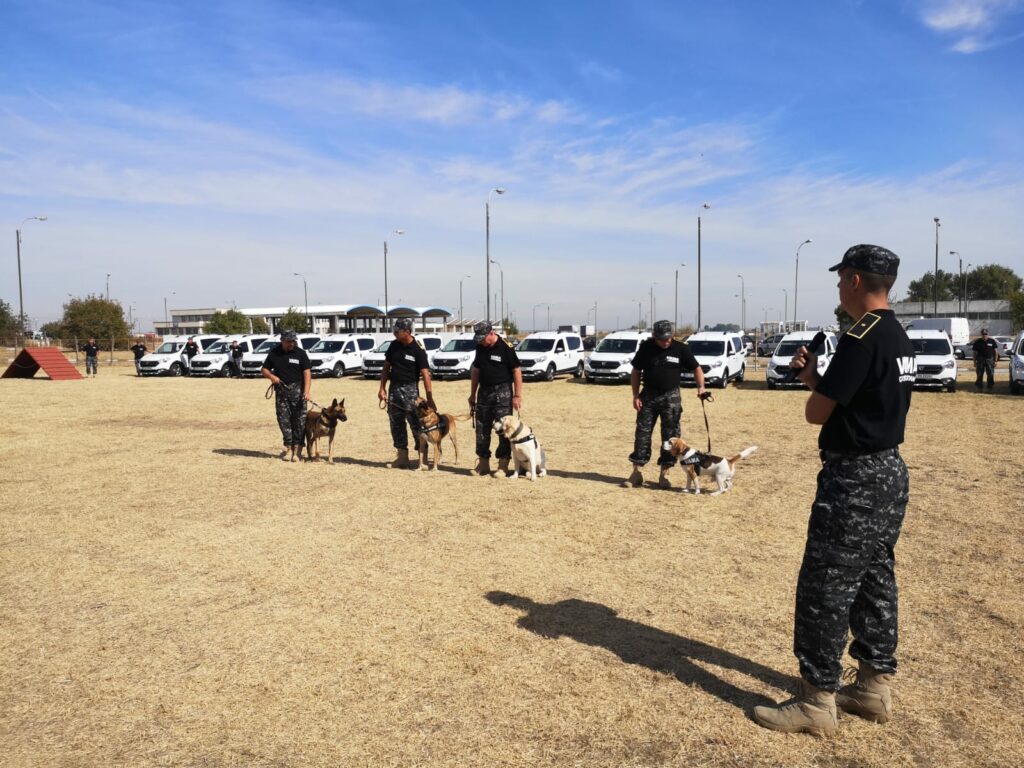 Guvernul angajează câini! Probleme mari la granițele României