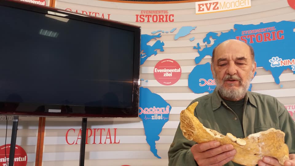 Jurnalistul care a învățat să intervieveze fosilele de animale și de plante, vechi de sute de milioane de ani