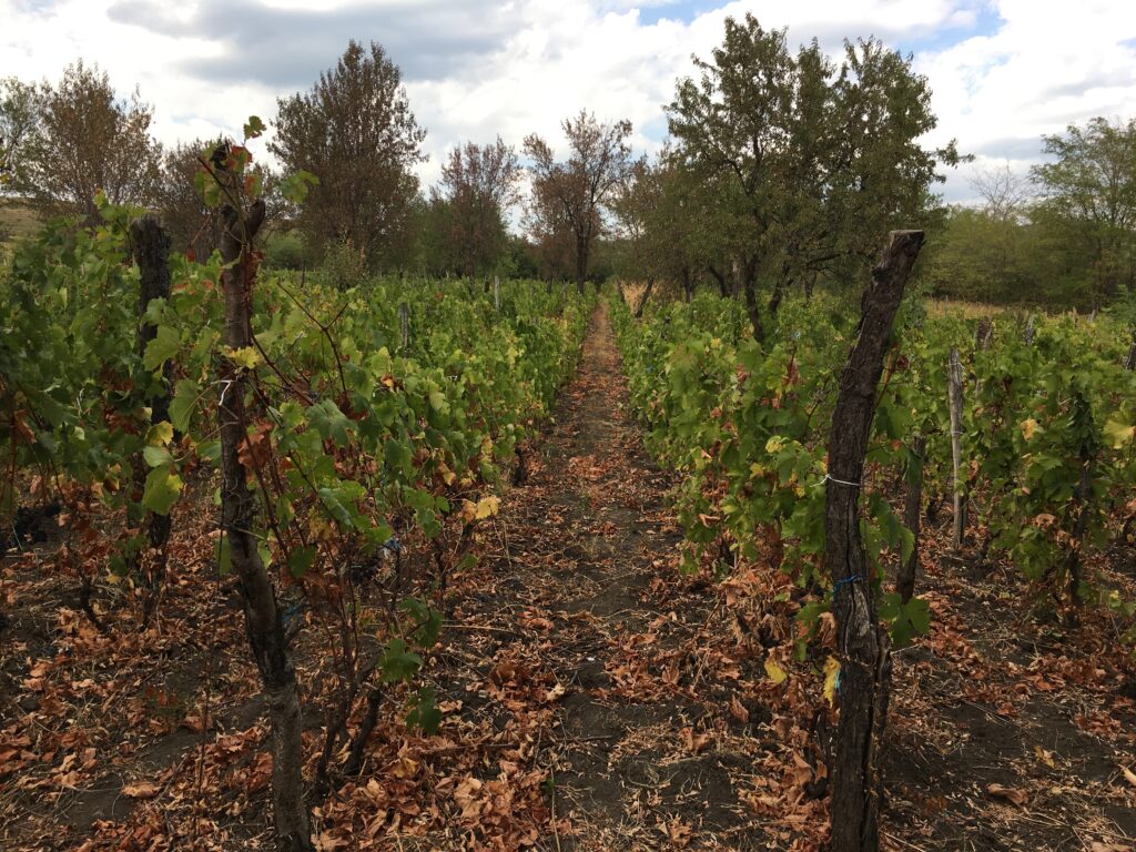 Misterul rachetelor antigrindină și blestemul țăranilor de pe Dealul Istrița. REPORTAJ