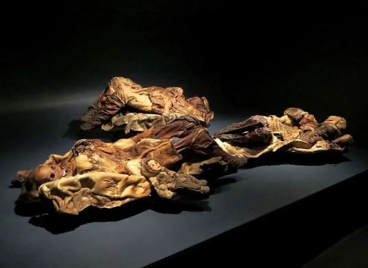 cadavru 5