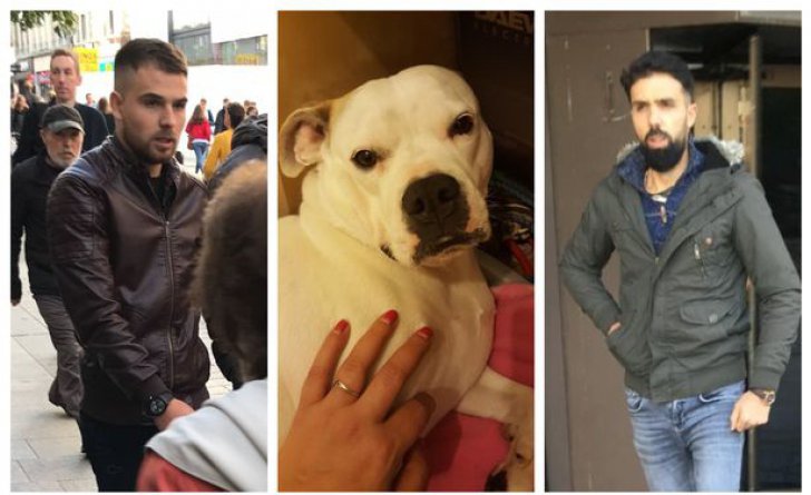 Doi români au provocat o tragedie în Anglia! Detalii cutremurătoare