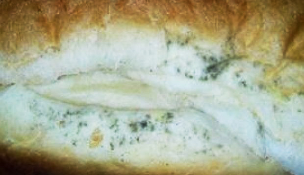 Alertă pentru părinți! Viața și sănptatea copiilor, puse în pericol de școală