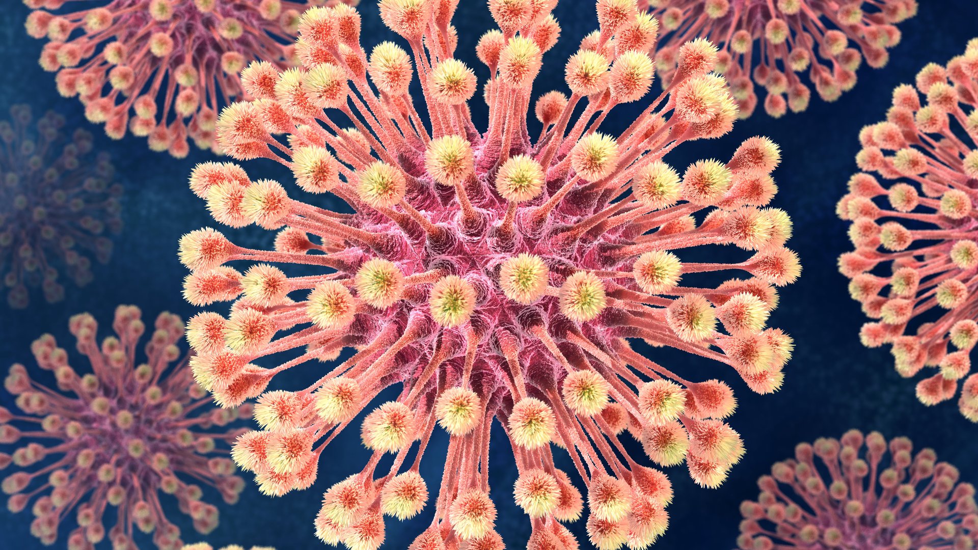 microbi