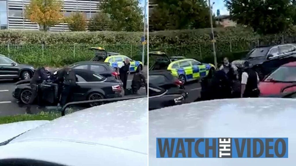 Video viral! Urmărire ca în filmele americane