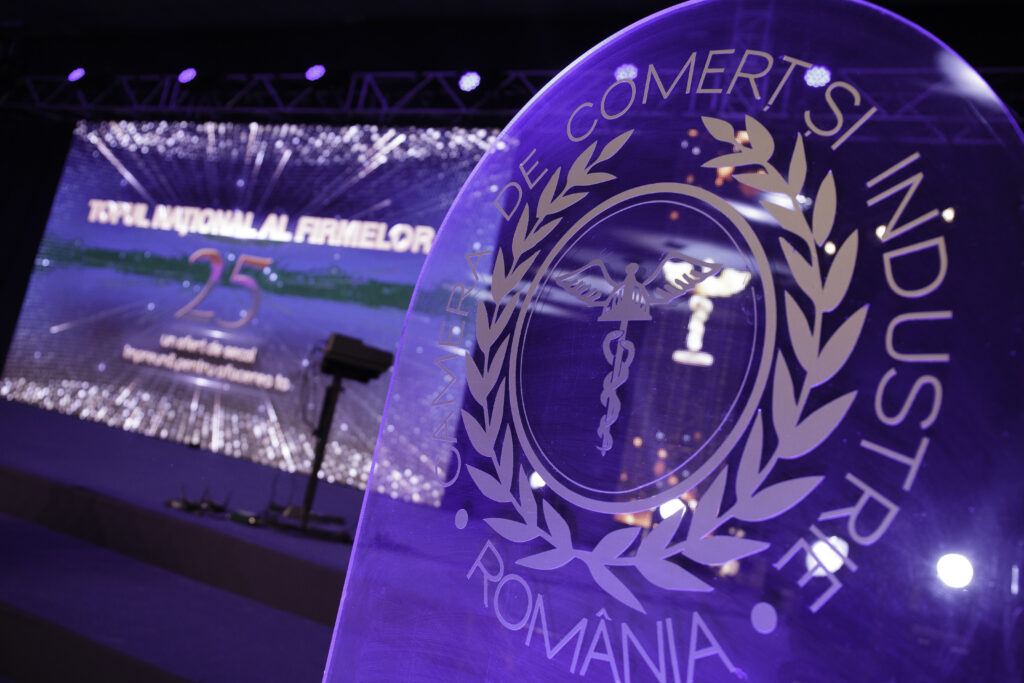 TNF 2019: Creștere cu 8,17% a cifrei de afaceri cumulată a companiilor din Top 10