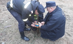 Amenințare cu bombă în „Raiul bogătașilor” din București. Zona a fost izolată