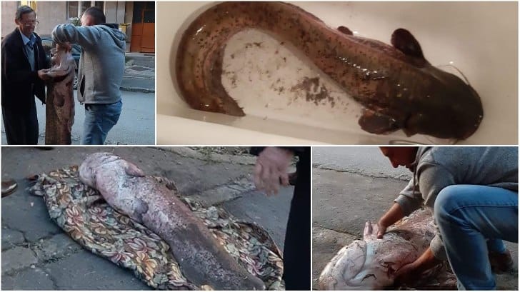 Ce a reușit să prindă un pescar? Când a scos „prada” din apă a rămas fără cuvinte