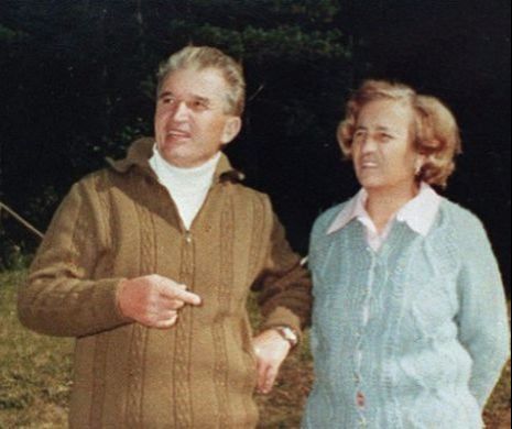 Măgărița în călduri. O poveste despre Elena Ceaușescu și codoșlâcul angajaților