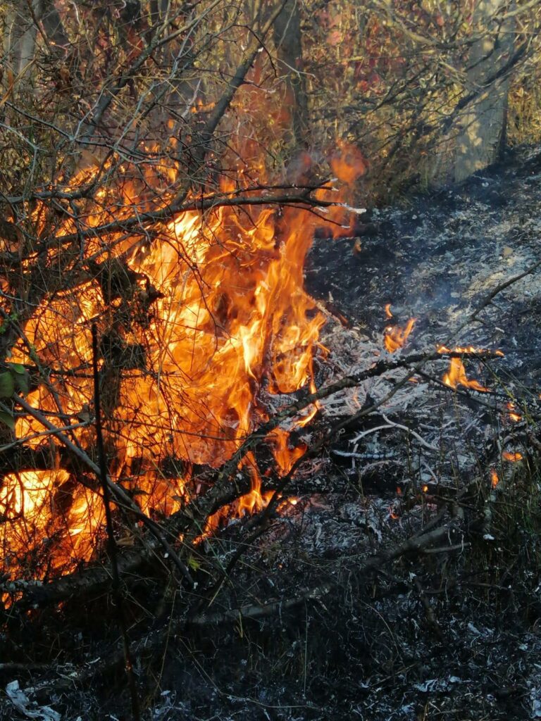 Stare de alertă în SUA. Dezastru în orașul „Îngerilor”. Zeci de mii de persoane, evacuate