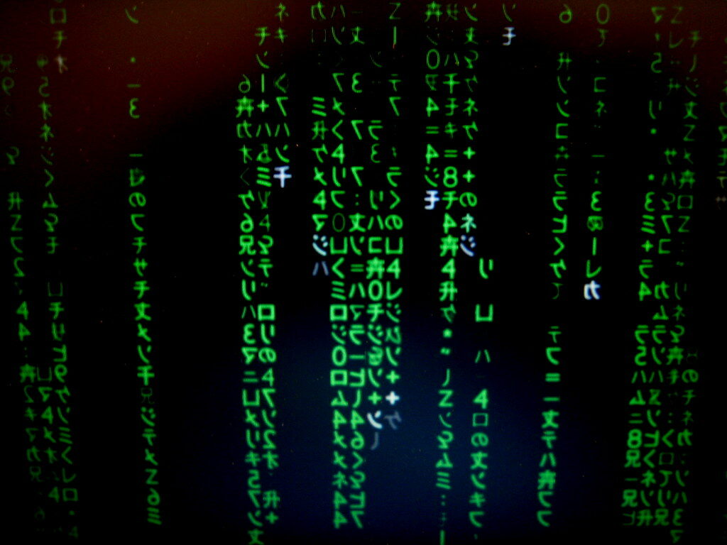 Site-ul Primăriei Capitalei, izvor de surprize! Nimeni nu a observat până acum