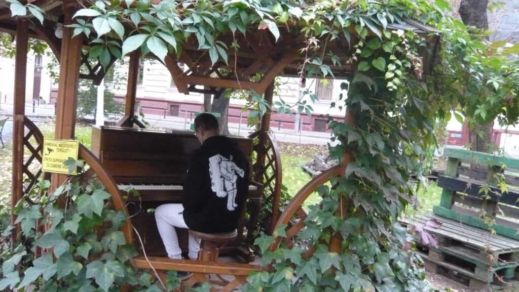 Cronicar în Oradea. Povestea florarului care a plantat un pian