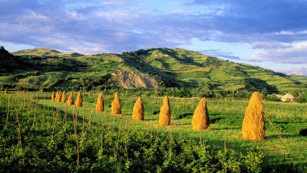 Şedinţă cu scântei la Bruxelles. „Perioada imediat următoare este vitală pentru statele membre”